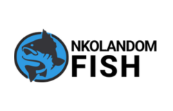 NKOLANDOM-FISH